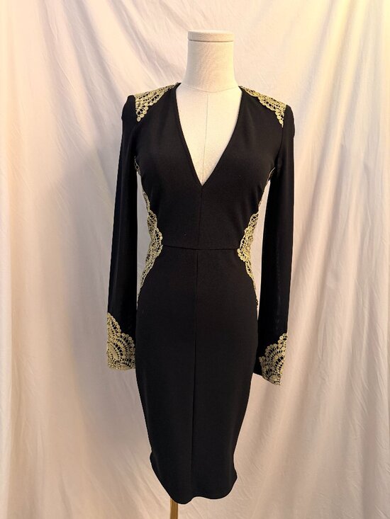 Akira Chicago Dresses & Skirts - Akira Black Lace Trim Mesh Sleeve Dress